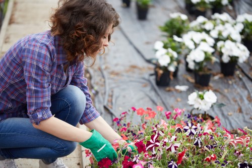 Landscapers in Hillingdon transforming a garden with design and planting