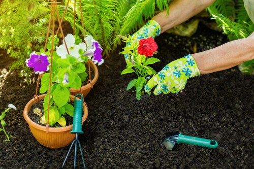 Garden grass cutting service in Hillingdon
