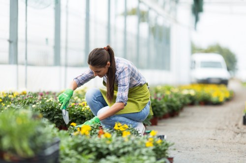 Landscape gardeners designing a Hillingdon garden with paving and planting