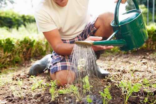 Property garden clearance before sale in Hillingdon