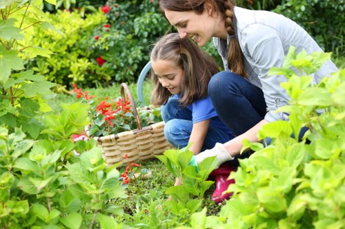 Inspection of landscaping issue during a complaints review
