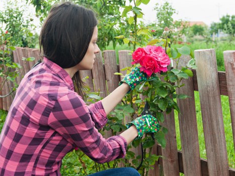 Professional garden landscaping in Hillingdon with modern features