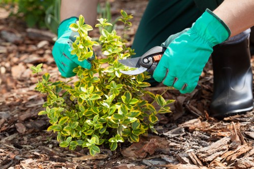 Professional landscape gardeners working on a tailored outdoor space in Hillingdon