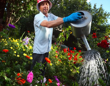 Final resolution of a landscaping complaint after remedial work
