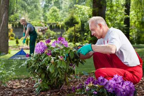 Ongoing accessibility improvements for a Hillingdon landscaping website