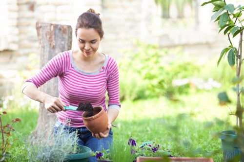 A landscaped patio and planting scheme by gardeners in Hillingdon