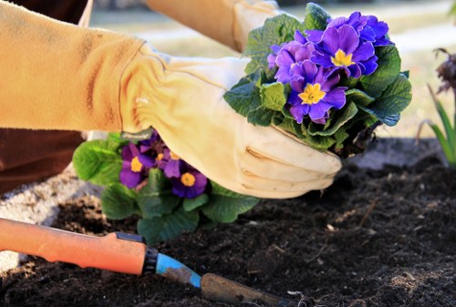 Supplier compliance review for landscaping services in Hillingdon