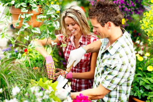Screen-reader friendly website structure for landscapers in Hillingdon