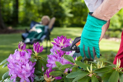 Pruning hedges and shrubs during garden maintenance in Hillingdon