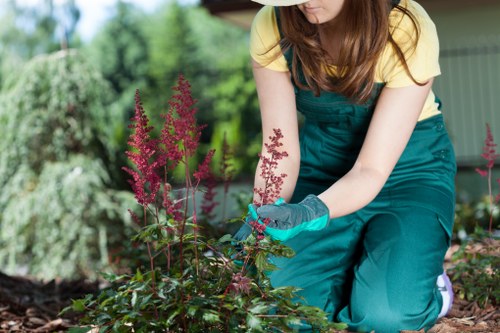 Detailed landscape design and planting in a Hillingdon outdoor space
