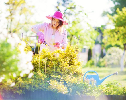 Garden waste removal and tidy-up in Hillingdon