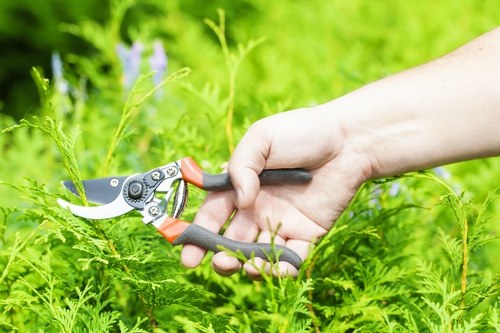Sustainable landscape gardening in Hillingdon with colorful planting