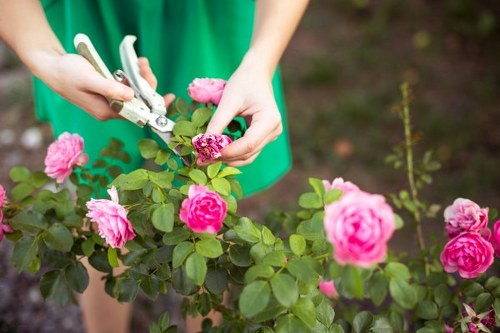 Local Hillingdon landscapers improving a modern garden layout