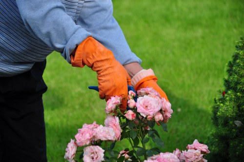 Decking maintenance and care for long-lasting outdoor surfaces
