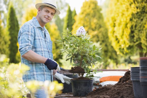 Seasonal garden maintenance tasks in a Hillingdon residential garden