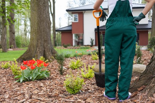 Soil preparation and turf maintenance for lawn care in Hillingdon